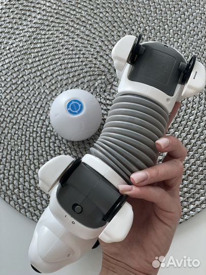 Робот собака silverlit