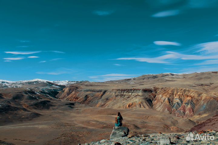 Тур на Алтай. Цветение маральника. Чуйский +Марс