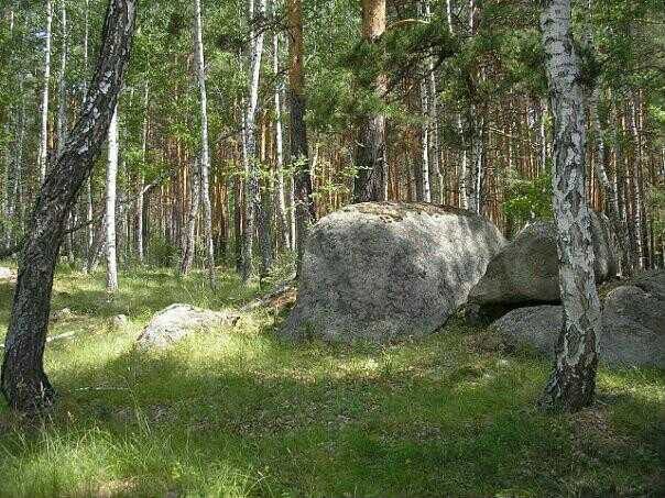 Участок 15 сот. (ИЖС)