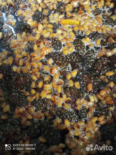 Варенье из шишек