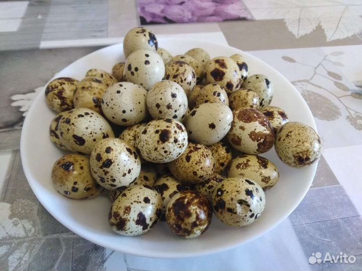 Яйца перепелиные домашние