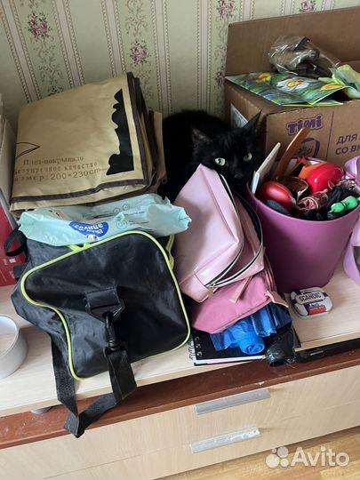 Вещи пакетом бу