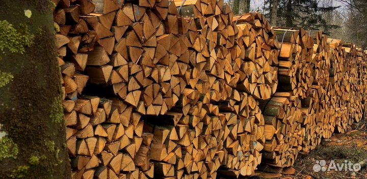 Дрова хорошие