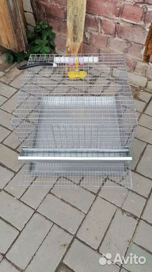 Клетка для перепелов