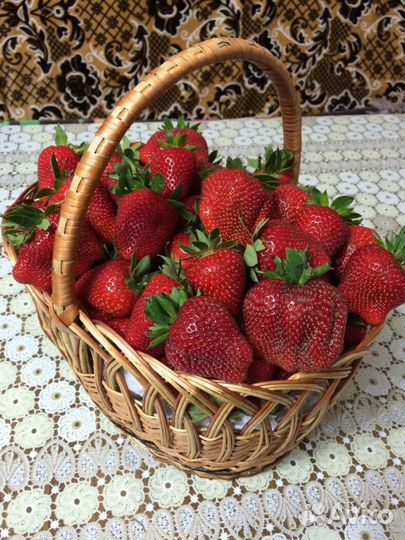 Рассада клубники сорт Царица,азия -Ремонтантная