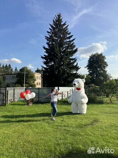 Поздравление от Белого Мишки и Панды