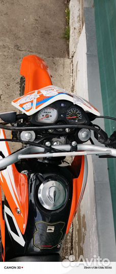 Пантера 250