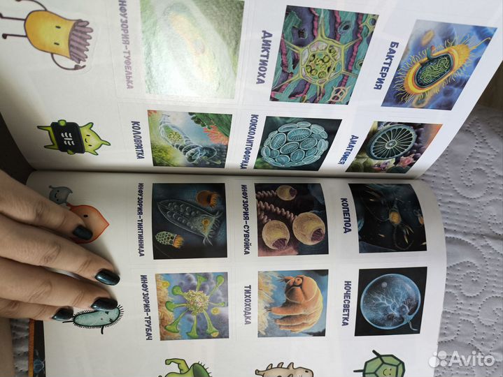 Энциклопедия дополненной реальности