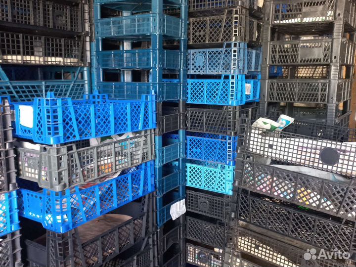 Пластиковые ящики для овощей бу