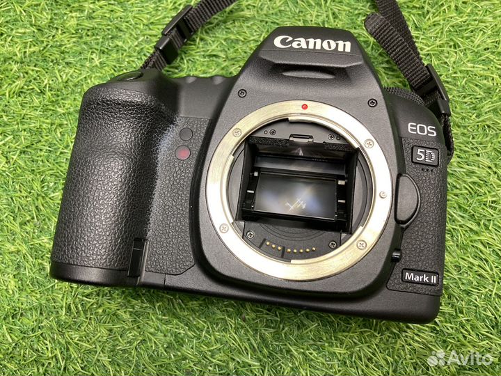 Canon EOS 5D Mark II (9.500 кадров)