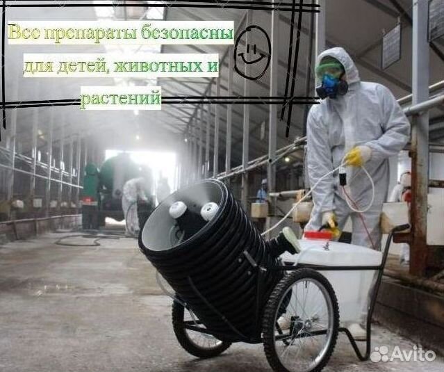 Уничтожение тараканов мышей плесени