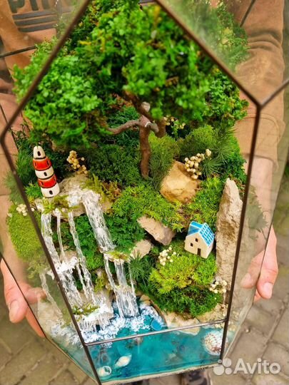 Флорариумы моссариумы без ухода