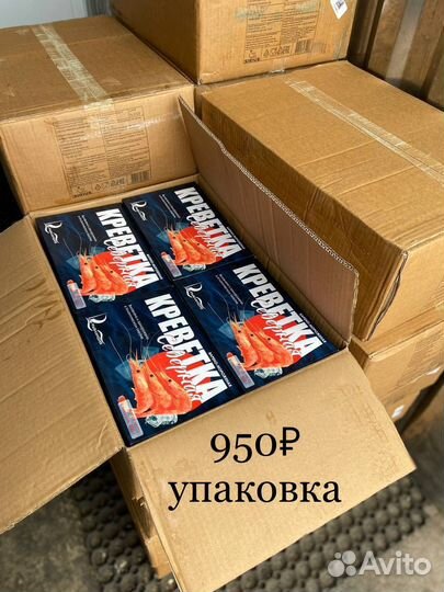 Креветка Северная