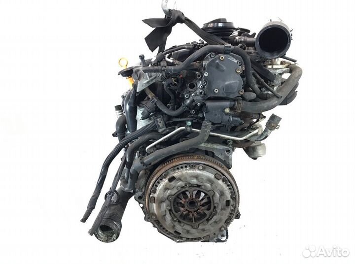 Двигатель Skoda Octavia 2006 BKC