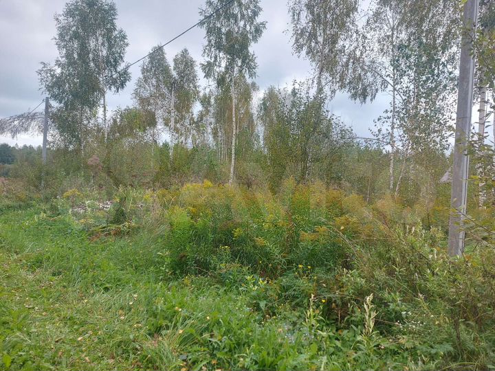 Участок 10 сот. (СНТ, ДНП)