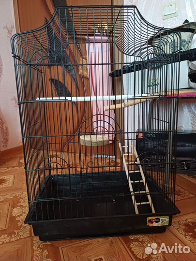 Клетка для попугая корелла