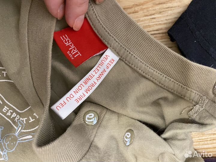 Шорты и рубашки