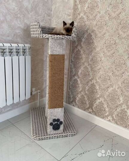 Когтеточка