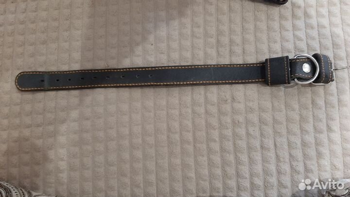 Поводок и ошейник для собак