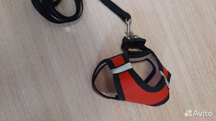 Шлейка+поводок для котят и маленьких собак, s-sm