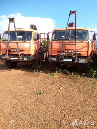 КАМАЗ 43118 с КМУ, 2012