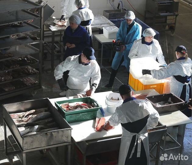 Вахта Орел Разнорабочий Упаковщик Рыбзавод