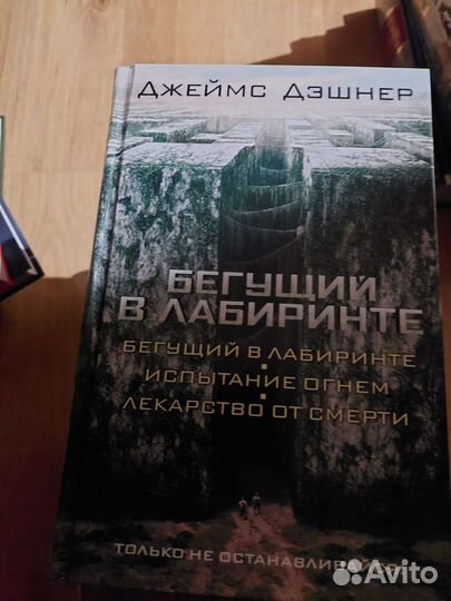 Бегущий в лабиринте