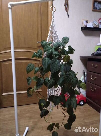 Кашпо макраме