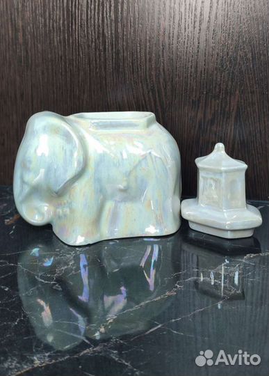 Чайница слон