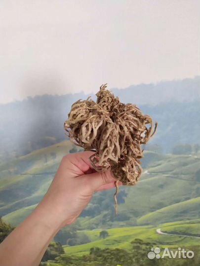 Украшение для интерьера