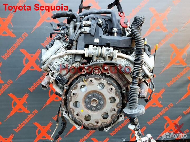 Двигатель 2UZ-FE Toyota Sequoia