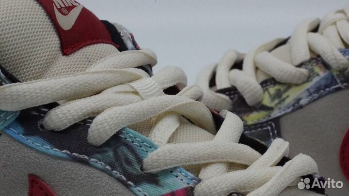 Кроссовки Nike Dunk Low Pro Sb paris