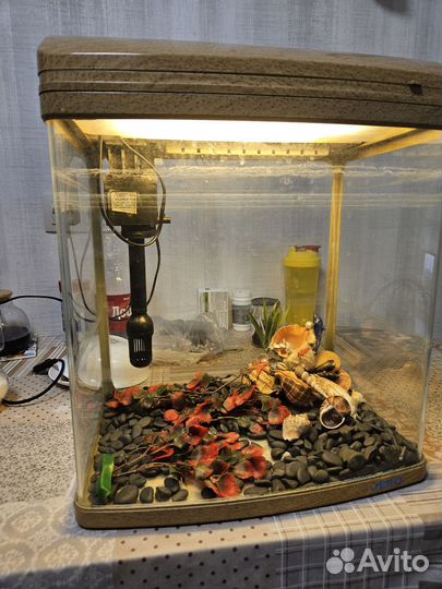 Аквариум