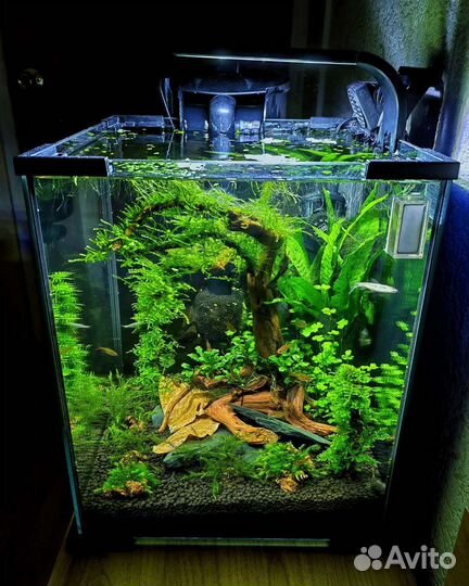 Обслуживание аквариумов