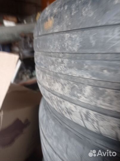 Dunlop Sport BluResponse 205/55 R16 95S