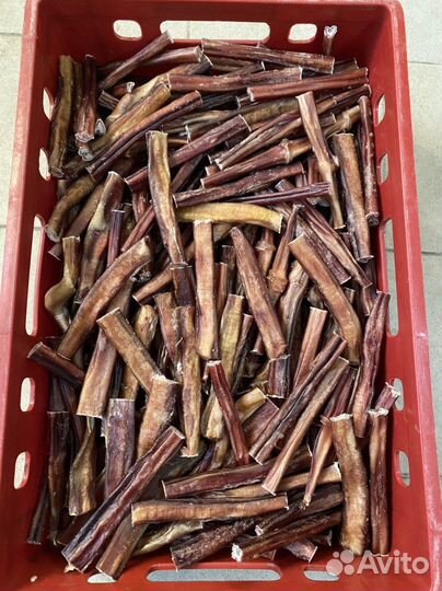 Бычий корень для собак