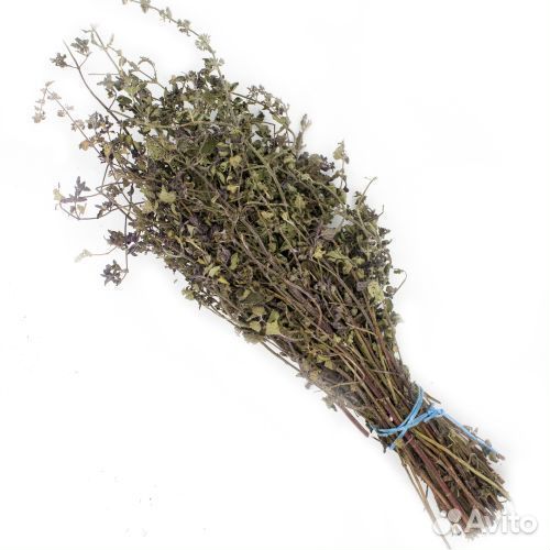 Травы для бани