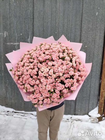 Роза букет хризантемы 21/51/101