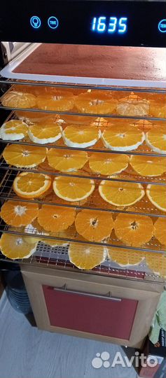 Сушилка дегидратор