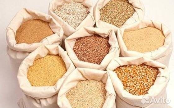 Комбикорм, пшеница, кукуруза, ячмень, горох, жмых
