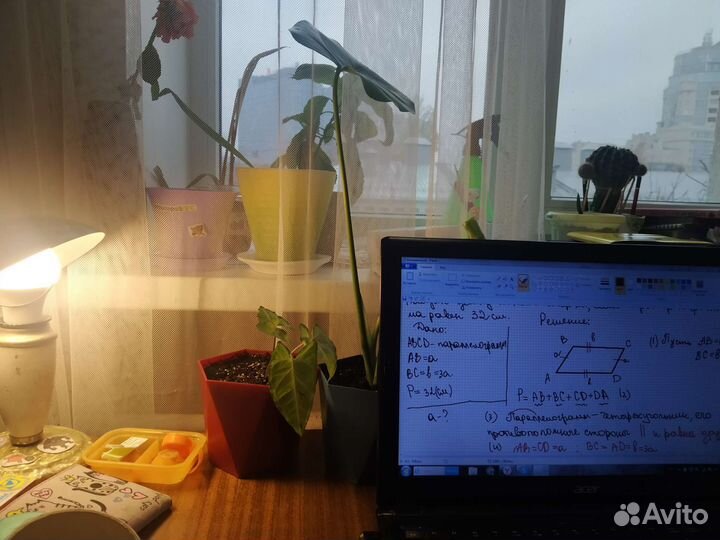 Репетитор по физике