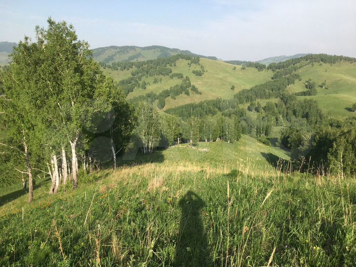 Участок 31 га (СНТ, ДНП)