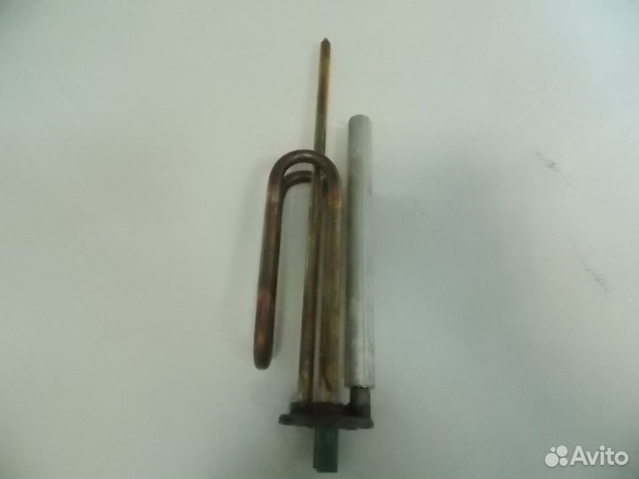 Тэн короткий ус