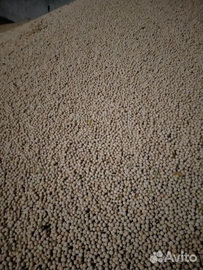 Горох кормовой