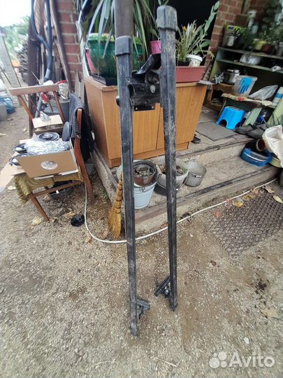 Богажник реечный