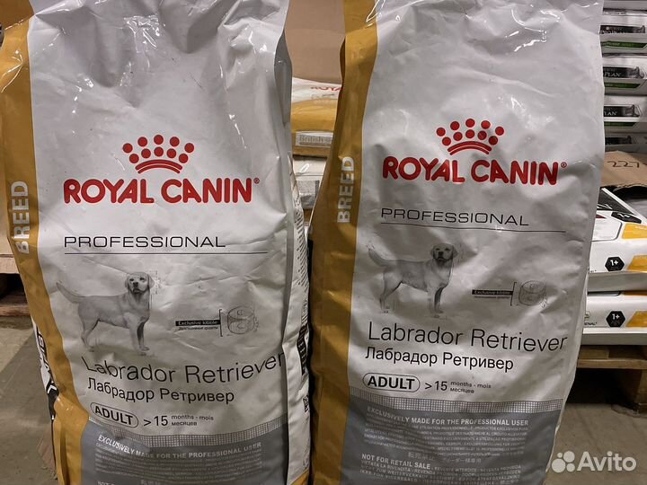 Корм 13 кг Royal Canin Labrador Retriever