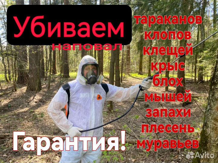 Уничтожение клопов, тараканов, ос, крыс, мышей