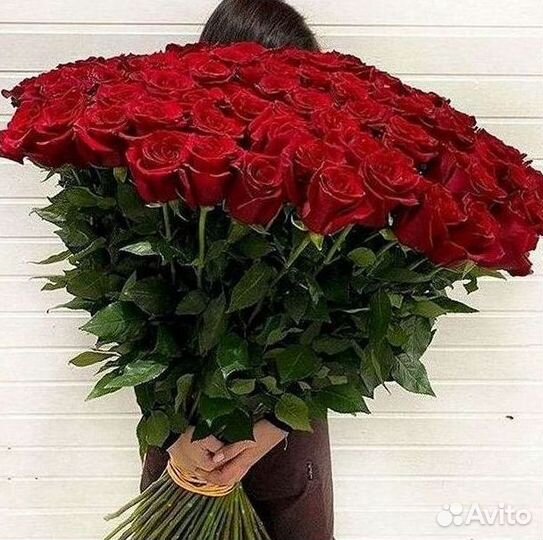 51 Роза, Букеты Цветы Розы 25 101 501 1001