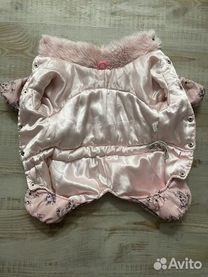 Комбинезон для маленькой собаки (суки) formydog