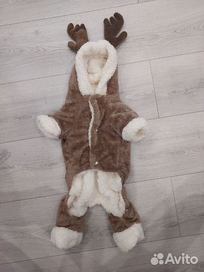 Костюм для животных